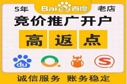 SEM广告投放中的数据监控与调整策略——以某品牌营销案例为例